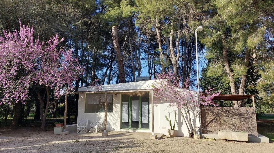 B&B Villa I 2 Leoni Lecce Oda fotoğraf